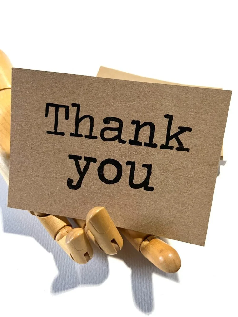 Thank You, kraft cards (set of 12)